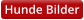 Hunde Bilder